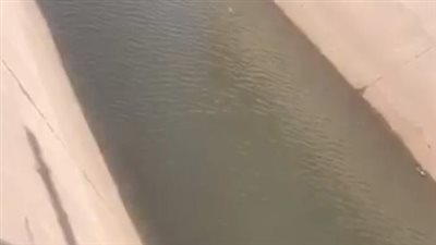 انتشال جثمان شاب غرق بترعة في كفر الشيخ| بث مباشر 