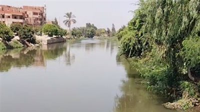 العربية اتقلبت في الترعة.. تفاصيل مصرع شخص ونجاة زوجته وابنتهما إثر حادث بالشرقية| بث مباشر