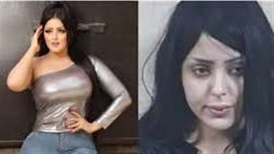 لماذا قررت المحكمة حبس سلمى الشيمي سنتين؟.. الحيثيات تجيب