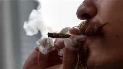 دراسة: الحشيش يقلل من حدة الأمراض المزمنة