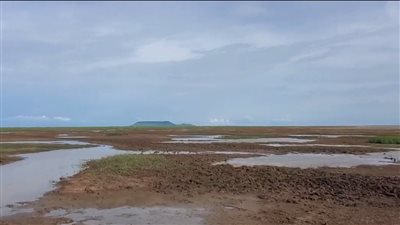 الحكومة: 29% زيادة في معدل الجفاف منذ عام 2000 عالميا