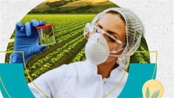 دعم البيئات البحثية