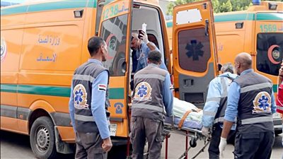 طالبة بالشهادة الإعدادية تنهي حياة عجوز بسكين عقب مشادة كلامية بكفر الشيخ 