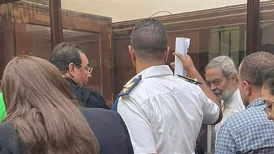 مجلس النواب يرد على بيان البرلمان الأوروبي: هشام قاسم متهم في جريمة سب وقذف بحق أحد رموز المعارضة