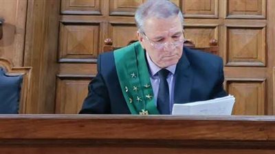 تأجيل محاكمة المتهم بإنهاء حياة زميله لخلاف على تحميل الركاب بالدقهلية وإيداعه مستشفى الأمراض العقلية 