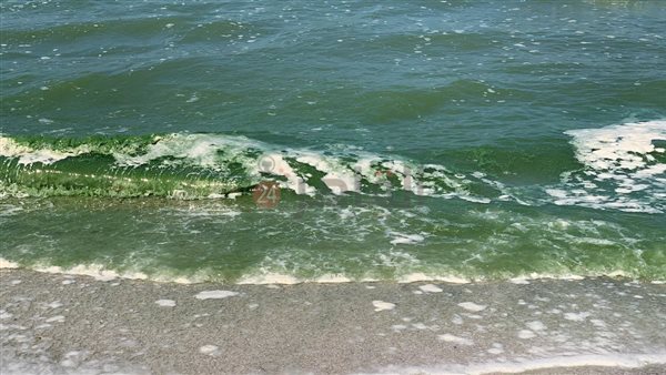 شاطئ بورسعيد 