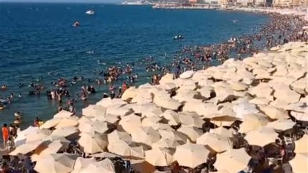 جانب من الإقبال على