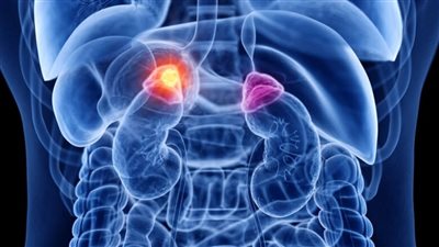 أبرزها ملح البحر.. تعرف على مكونات المشروب المعزز لصحة الغدة الكظرية