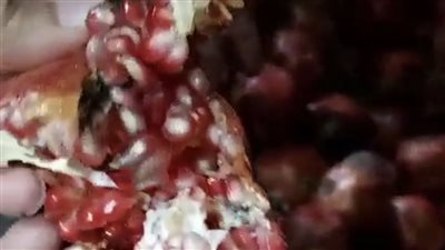 غلق محل عصائر شهير بدمنهور لحيازته مشروبات غير صالحة للاستهلاك الآدمي