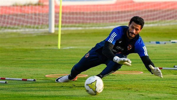 محمد الشناوي