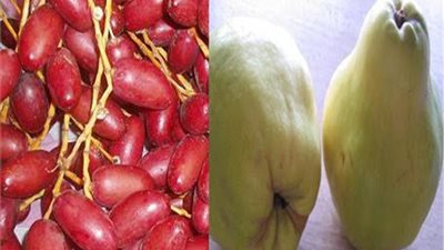 بالبلح والجوافة.. الأقباط يحتفلون بعيد النيروز اليوم