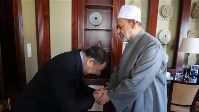 شيخ الأزهر يحذر من توجه عالمي يستهدف هدم منظومة الأسرة لدى الأطفال في سن مبكرة