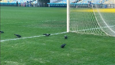 اتحاد أمريكا الجنوبية يغرم فلومينينسي بسبب تدهور عشب ملعب ماراكانا