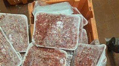 صحة القليوبية توصي بإيقاف نشاط 14 منشأة غذائية لمخالفتها شروط الترخيص 