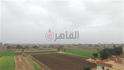 مياه المنوفية ترفع حالة الاستعداد القصوى لمواجهة الأمطار المتوقعة مع العاصفة دانيال