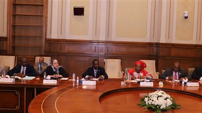 توقيع مذكرة تفاهم بين مجلسي الشيوخ المصري والغيني وإنشاء جمعية صداقة مشتركة