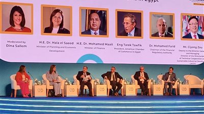 وزير المالية: خصصنا 3 مليارات جنيه لمشروعات التحول الأخضر