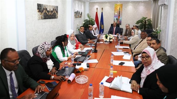 محافظ أسوان