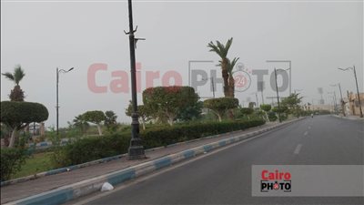 أمطار تضرب القاهرة بالتزامن مع العاصفة دانيال.. والأتربة تحجب الرؤية في الإسكندرية | بث مباشر