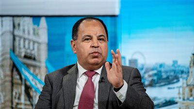 وزير المالية: إصدار سندات الباندا يهدف لتعزيز المسار المصري للتنمية الخضراء