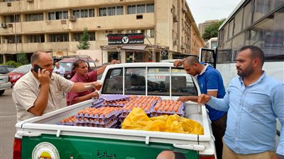 سعر الكرتونة 110 جنيهات.. الزراعة تطلق منافذ متحركة لبيع بيض المائدة في 5 محافظات