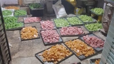 تموين القليوبية: التحفظ على مواد غذائية مجهولة المصدر بـ 3 مصانع في القناطر 