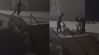 مطعم بمنطقة الفسطاط يتسبب في تسميم عدد كبير من الكلاب.. ويرد: عند ربنا إحنا اللي هنتحاسب