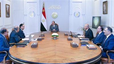 السيسي يوجه بمواصلة الجهود الرامية لتطوير شركات قطاع الأعمال العام