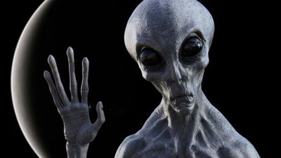 بساق واحدة ووجه دون أنف.. عائلة أمريكية تزعم رؤية كائنات فضائية تهبط خلف منزلها 