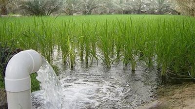 ندوات إرشادية للمزارعين.. أهم توصيات مجلس الشيوخ للحكومة بشأن تطبيق نظم الري الحديثة
