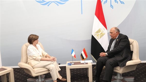 سامح شكري ووزيرة