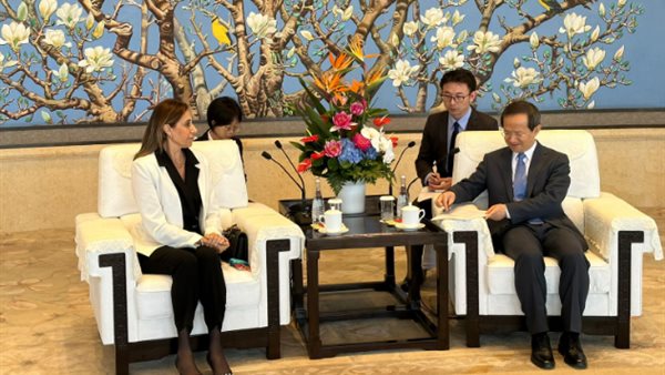 لقاء وزيرة الثقافة