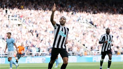 رسميًا.. نيوكاسل يونايتد يعلن تمديد عقد كالوم ويلسون