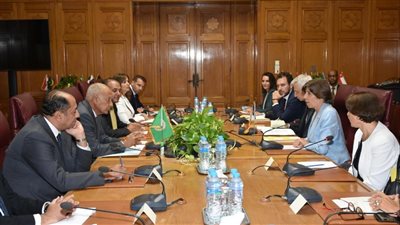 من بينها تطورات القضية الفلسطينية.. أبو الغيط يبحث مع وزيرة خارجية فرنسا عدد من الملفات 