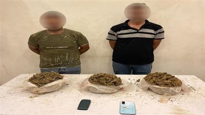 حبس شخصين بتهمة حيازة مخدر الهيدرو في مدينة بدر