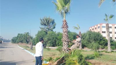 محافظ الدقهلية يوجه برفع الإشغالات من مدينة جمصة