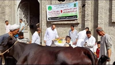 بالمجان.. بيطري المنيا ينظم قافلة طبية شاملة في مركز أبو قرقاص اليوم