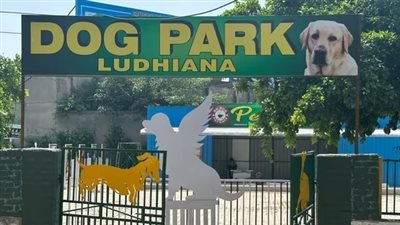 افتتاح حديقة مخصصة للكلاب في شمال الهند لتحسين صحتهم النفسية