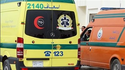 إصابة 12 شخصًا في حادث انقلاب ميكروباص بصحراوي المنيا