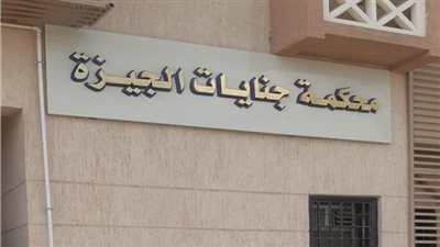 إحالة أوراق عامل أنهى حياة شقيقته لسرقته هاتفها في بولاق الدكرور للمفتي