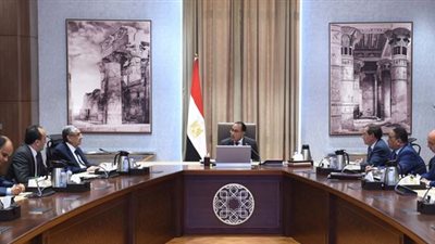 الحكومة: إجمالي استثمارات تطوير الشبكة الكهربائية الموحدة بلغ نحو 85 مليار جنيه