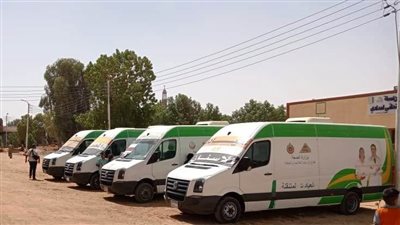 لمدة يومين.. قافلة طبية مجانية بقرية العزب المصري في قنا 