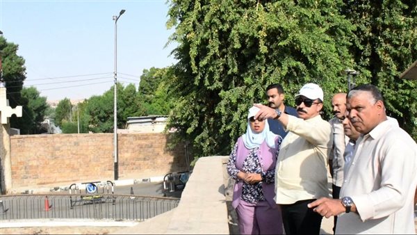 محافظ أسوان