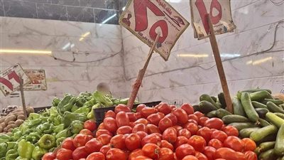 الأربعة بـ 100 جنيه.. ارتفاع أسعار الطماطم في الأسواق