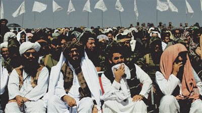 عرض عالمي أول بالشرق الأوسط.. تفاصيل مشاركة فيلم HOLLYWOODGATE في مهرجان الجونة السينمائي 