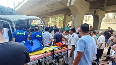 سقوط السور الحديدي.. إصابة شخصين في انقلاب سيارة من أعلى كوبري طرة | صور
