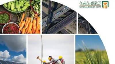 البنك الأهلي المصري يصدر أول تقرير شامل عن مبادئ الصيرفة المسئولة للعام المالي 2022