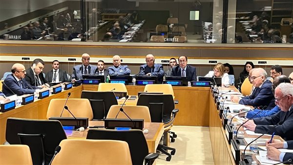 سامح شكري وزير الخارجية