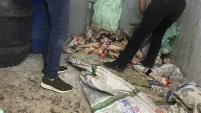 ضبط مخزن يحوي لحوم وكوارع غير صالحة للاستهلاك الآدمي بالوراق | صور