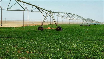 إضافة نشاط تأجير السيارات والوحدات السكنية إلى الشركة العربية لاستصلاح الأراضي